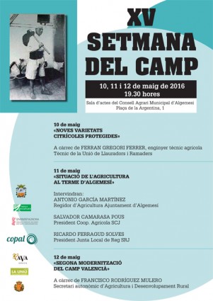 SETMANA DEL CAMP algemesi