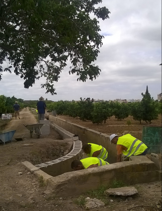 foto paro agrícola programa municipal d'ocupació agrícola  marc vendrell la veu d'algemesí