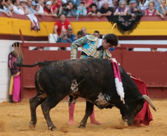 rafael gonzález álvaro domecq novillero setmana de bous algemesí toros carlos bueno moisés castell la veu d'algemesí