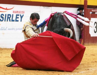 alfonso cadaval setmana de bous algemesi carlos bueno moises castell 