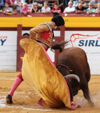 setmana de bous algemesi Pedro José Aguilar “El Jareño”,  escuela taurina malaga carlos bueno moises castell