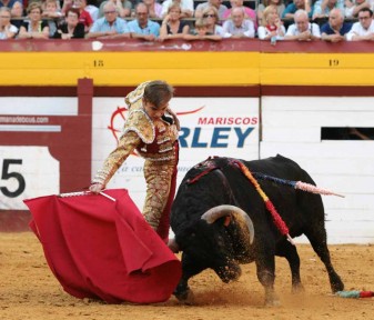 setmana de bous algemesí Andy Younes  carlos bueno moisés castell