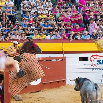 setmana de bous d'algemesí picador-soro