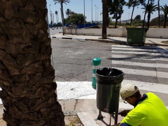 papereres algemesi