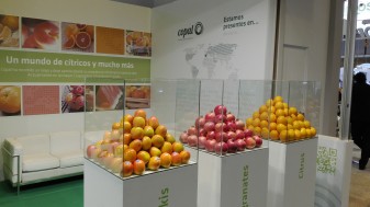 COPAL, la Cooperativa Agrícola de Algemesí, en Fruit Attraction ifema feria de madrid