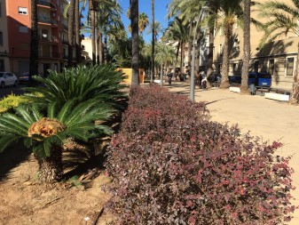 jardins ajutnament d'algemesí