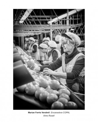 Exposició fotogràfica “Dones treballadores” al Museu Valencià de la Festa ximo rosell la veu d'algemesi