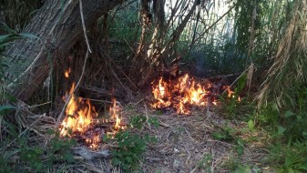 Incendi bosc ribera la veu d'algemesi