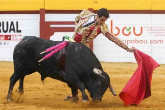 setmana de bous algemesi toros algemesi mario palacios carlos bueno moisés castell la veu d'algemesí