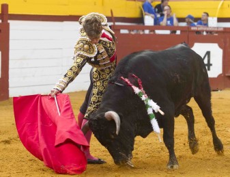 Setmana de bous algemesí Jordi Pérez Aída Jovani Borja Collado Carlos Bueno Moisés Castell La veu d'algemesí