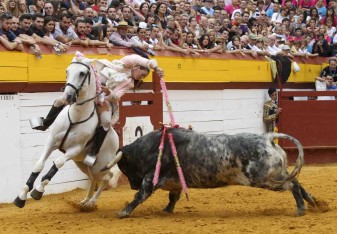 setmana de bous algemesí ana rita alcurrucén carlos bueno moises castell