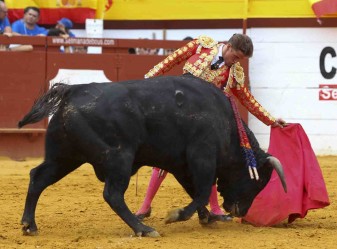 setmana de bous algemesí diego carretero Marcos Pérez  mario perez langa Domingo Hernández – Garcigrande