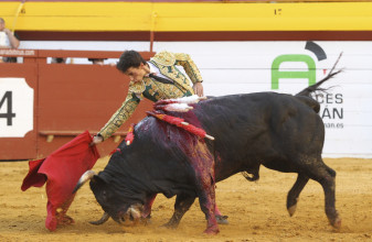 Juan Pedro Llaguno-Guadaira-García Navarrete-setmana taurina algemesi-novillos-fotoperiodismo valencia-agencia de prensa valencia-prensa valencia-comunicacion-periodismo-marketing-publicidad-diseño-carteleria-carton pluma-video corporativo-agencia prensa2-moises castell-carlos bueno-la veu d'algemesí