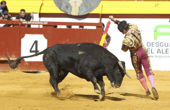 Cristóbal Ramos “Parrita”-El Juli-Carlos Domínguez-Álvaro Passalaqua-Miguel Polope-Juan José Villa “Villita”-los chospes-setmana de bous algemesi-escuela taurina de valencia-setmana taurina algemesi-novillos-fotoperiodismo valencia-agencia de prensa valencia-prensa valencia-comunicacion-periodismo-marketing-publicidad-diseño-carteleria-carton pluma-video corporativo-agencia prensa2-moises castell-carlos bueno-la veu d'algemesí