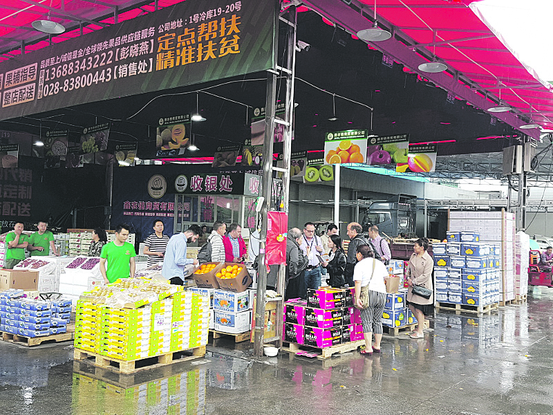 Per primera vegada en la història, la Cooperativa Agrícola d'Algemesí ha obert mercat amb el Sud-est Asiàtic, el màxim consumidor mundial de caqui. El 21 de setembre va eixir des de les instal.lacions de COPAL el primer enviament, que va arribar a destí via aèria i que immediatament es va posar a la venda, resultant un gran èxit l'acceptació dels consumidors. Això ha comportat que els clients asiàtics hagen sol.licitat una línia de proveïment setmanal. Una setmana després, el dia 28, també van eixir carregaments cap al Canadà i Malàisia, un altre nou mercat. La gran qualitat del caqui de COPAL està provocant que esta fruita tinga una gran demanda en l'actualitat. Vicente Bomboí, president de la Cooperativa, ha declarat que “sense descurar els mercats tradicionals europeus, tenim la intenció d'expandir-nos i trobar nous clients en altres continents”. Respecte a la qualitat del caqui esta temporada, Bomboí ha assenyalat que “a causa de les condicions climatològiques que s'han donat, es preveu una collita excel.lent, i a mesura que la fruita adquirisca les condicions idònies s'aniran enviant contenidors de manera contínua als nous mercats. Cal aprofitar la situació també amb l’Orient Mitjà”, ha afirmat. El president també es mostra molt satisfet del resultat que està donant la nova maquinària que s'ha adquirit per al tractament final del caqui. “Sens dubte ha sigut una gran inversió”, assegura, “perquè l'acabat és molt superior a l'anterior. És un procés més automatitzat, amb menor manipulat, i proporciona un major aprofitament del caqui. Ha valgut la pena l'esforç econòmic”, ratifica. En estos moments COPAL està en plena recol.lecció de cítrics. De moment hi ha una xicoteta aturada en la varietat clausellina okitsu pel fet que els mercats estan saturats, per la qual cosa prompte començaran a servir-se les clementines.