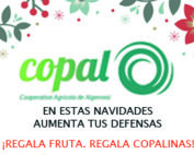 copal algeme