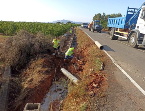 L’Ajuntament contracta 112 persones del sector agrícola