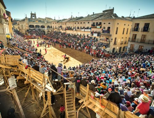 La plaça de bous, un tresor per mostrar