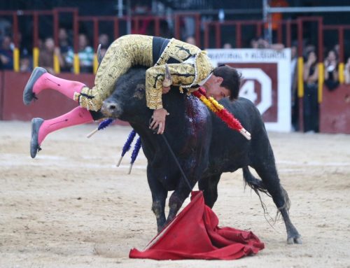 Important actuació de Nek a Arganda