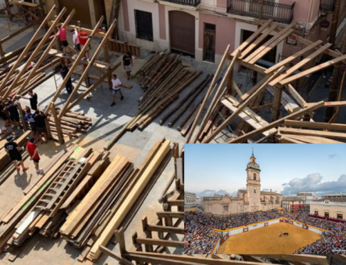 Es demanarà que la plaça de bous siga BIC