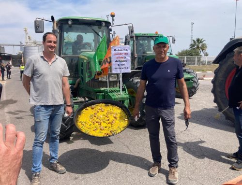 Protestes dels arrossers a Algemesí