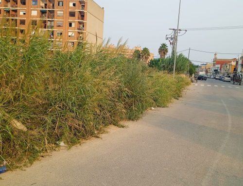 La gestió de l’alcalde en el Raval rosa la negligència