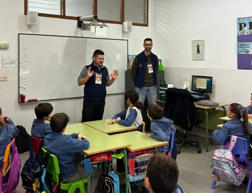 Recollida separada de residus orgànics