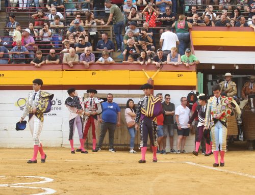 Premio a la voluntad