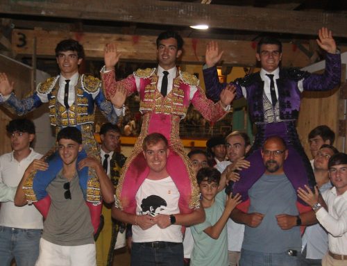 Raza de novilleros