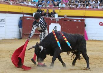 Manuel Roman setmana bous algemesi moises castell carlos bueno prensa2